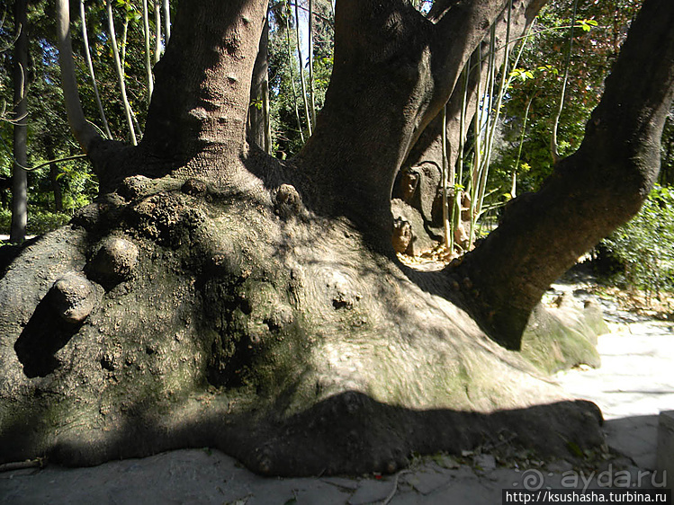 Парк королевы Амалии Ольденбургской