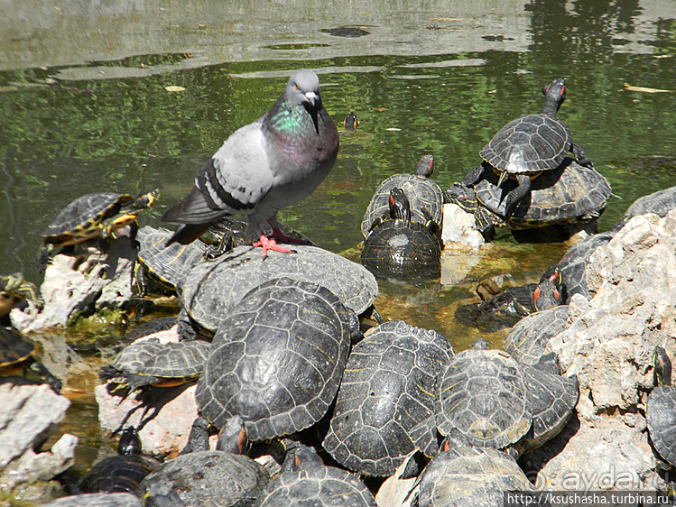 Парк королевы Амалии Ольденбургской