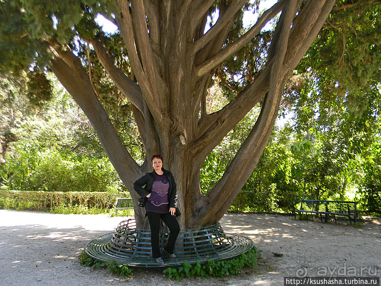 Парк королевы Амалии Ольденбургской