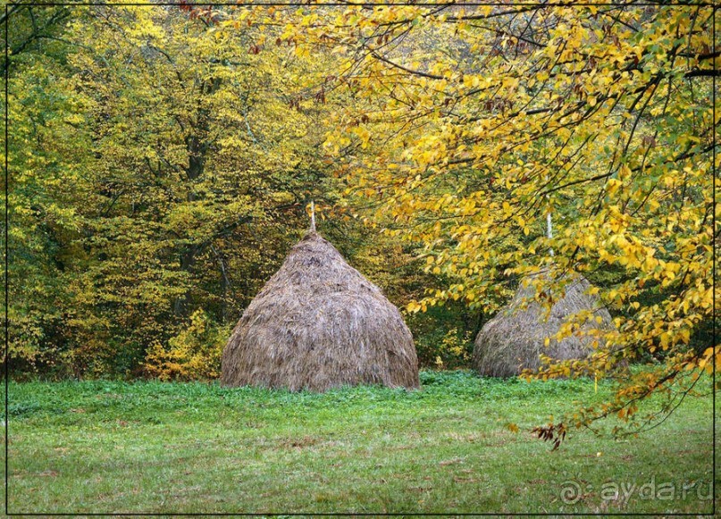 Цветная осень (Девичий альбом)