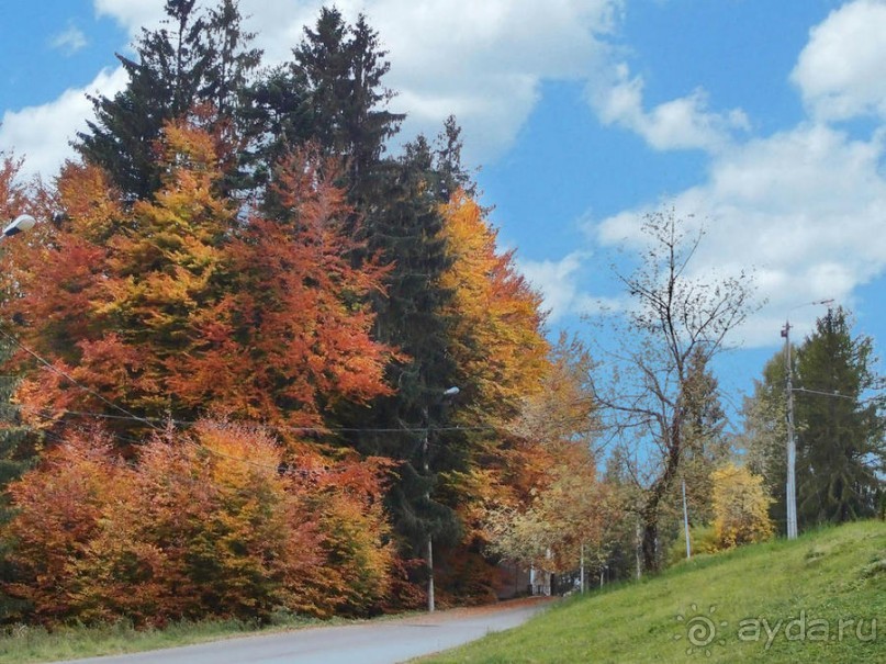 Цветная осень (Девичий альбом)