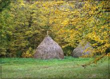 Цветная осень (Девичий альбом)