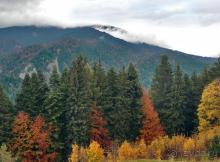 Цветная осень (Девичий альбом)