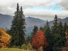 Цветная осень (Девичий альбом)