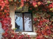 Цветная осень (Девичий альбом)