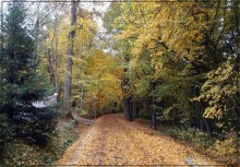 Цветная осень (Девичий альбом)