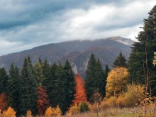 Цветная осень (Девичий альбом)