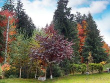 Цветная осень (Девичий альбом)