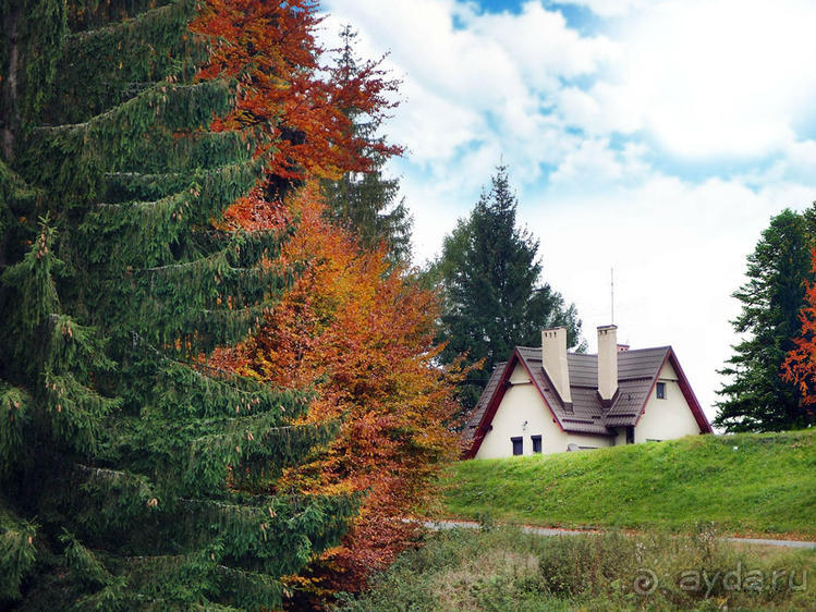 Цветная осень (Девичий альбом)