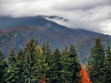 Цветная осень (Девичий альбом)