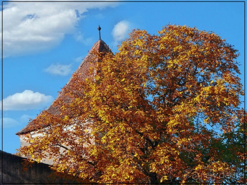 Цветная осень (Девичий альбом)