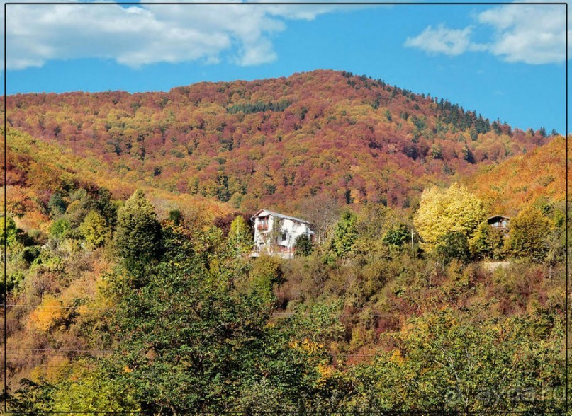 Цветная осень (Девичий альбом)