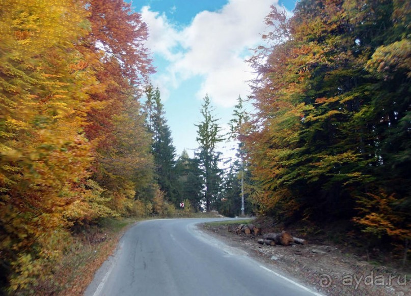 Цветная осень (Девичий альбом)