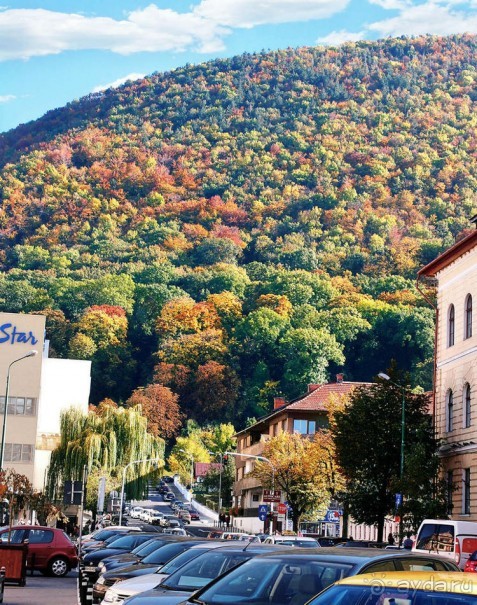 Цветная осень (Девичий альбом)