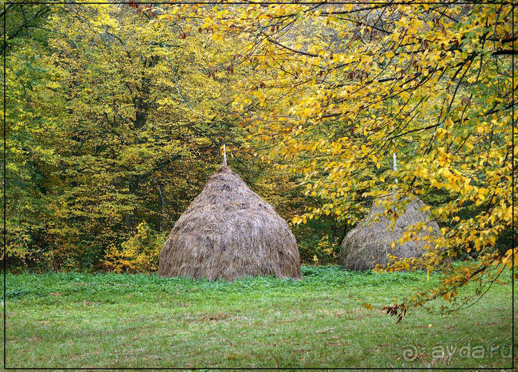 Цветная осень (Девичий альбом)