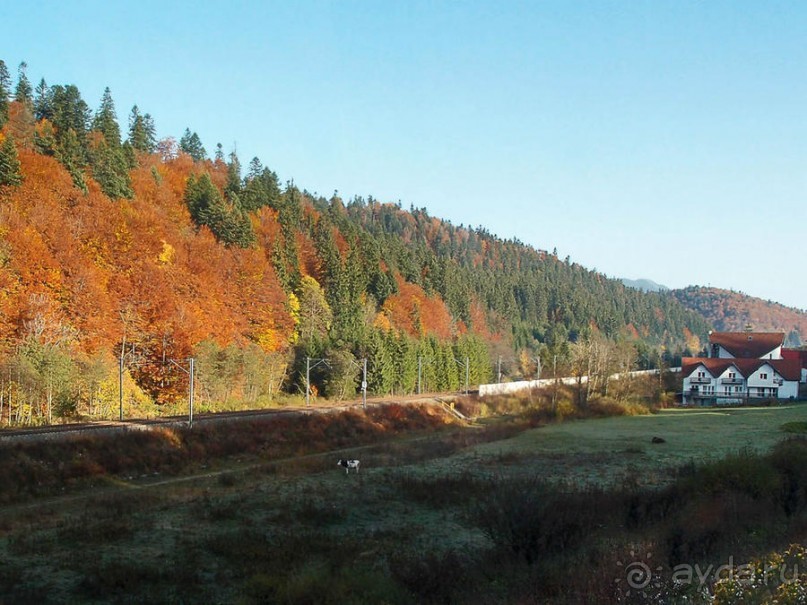 Цветная осень (Девичий альбом)