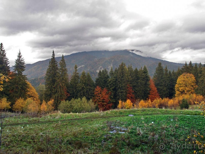 Цветная осень (Девичий альбом)