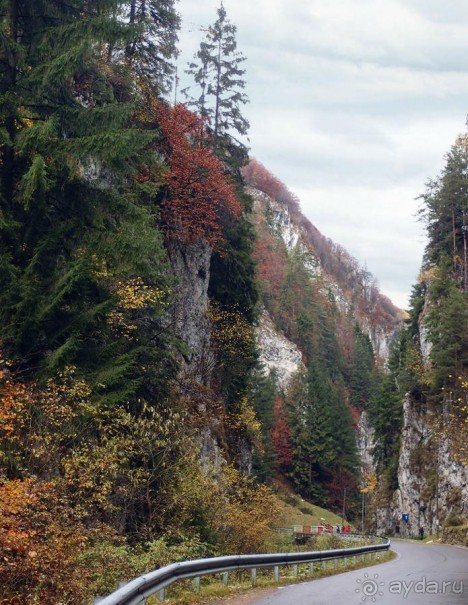 Цветная осень (Девичий альбом)