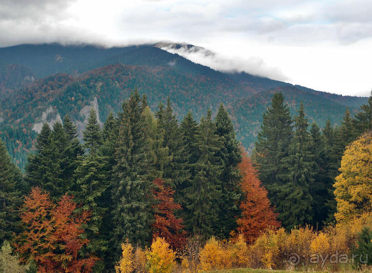 Цветная осень (Девичий альбом)