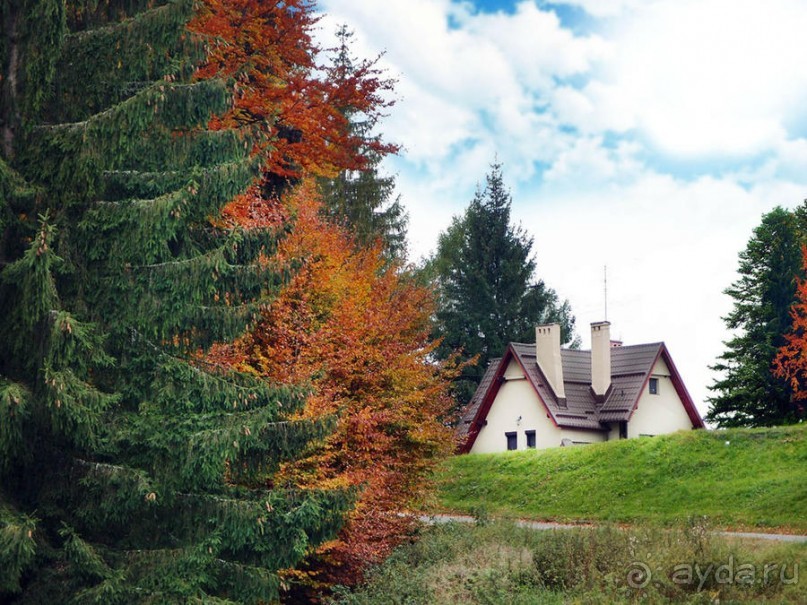 Цветная осень (Девичий альбом)