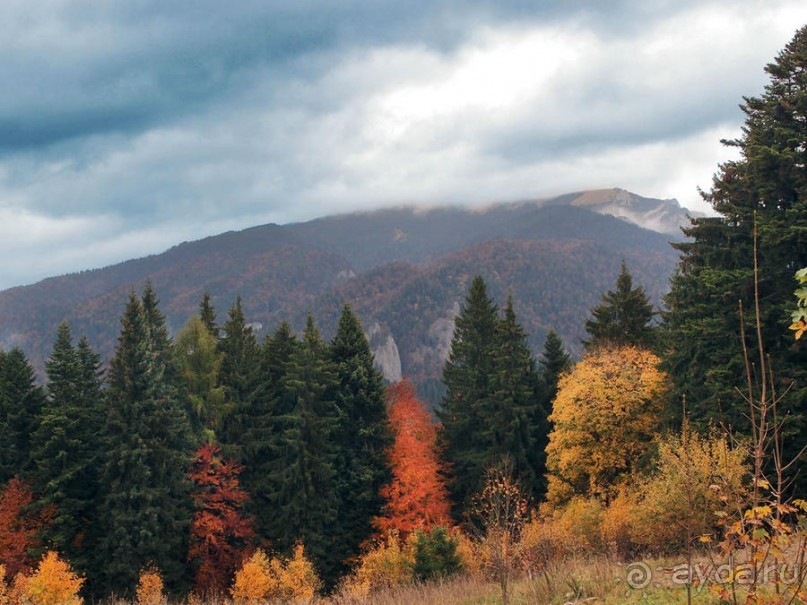 Цветная осень (Девичий альбом)