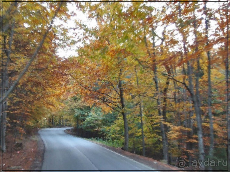 Цветная осень (Девичий альбом)