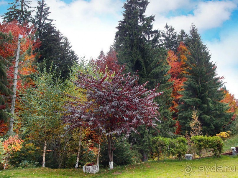 Цветная осень (Девичий альбом)