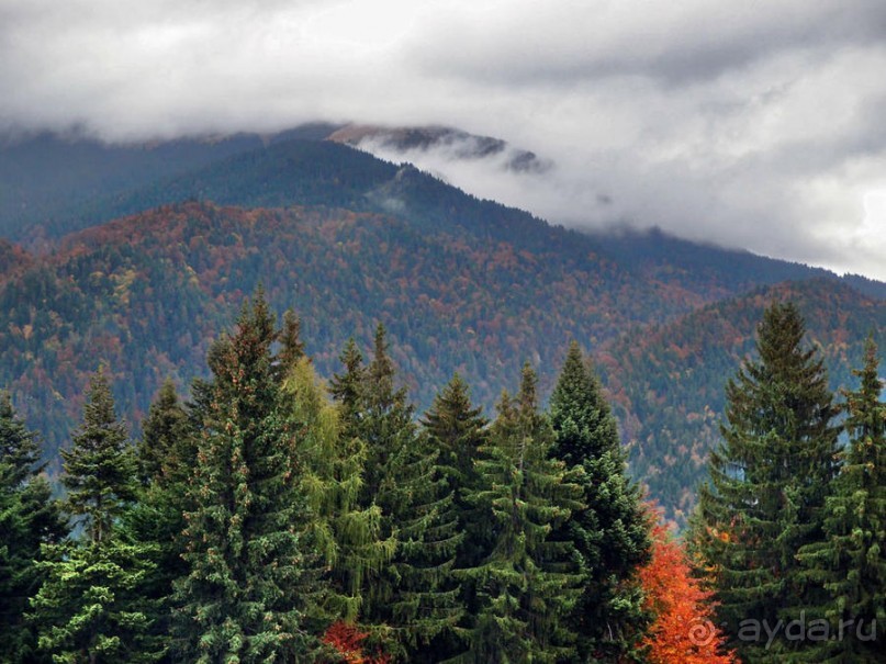 Цветная осень (Девичий альбом)