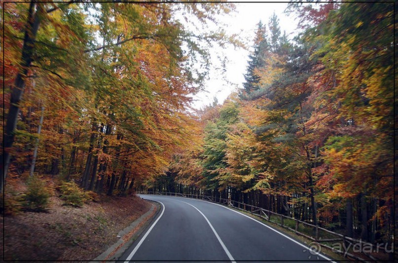 Цветная осень (Девичий альбом)
