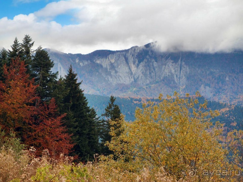 Цветная осень (Девичий альбом)