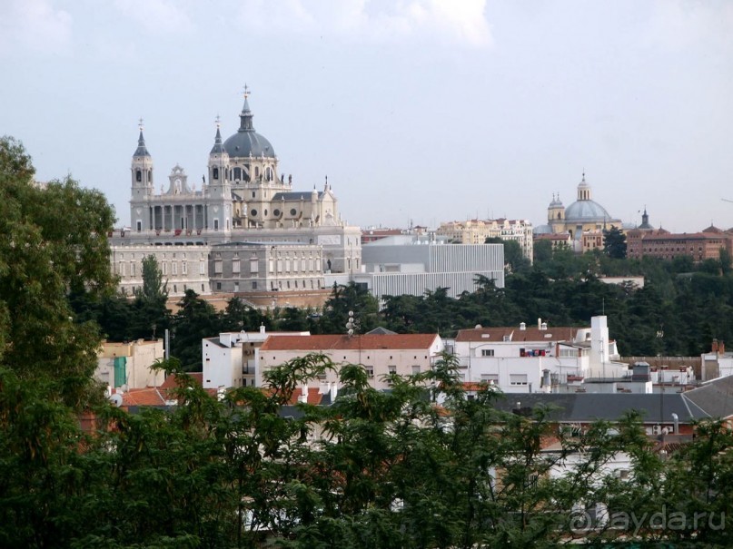 С берега Нила — в сердце Мадрида