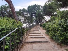 С берега Нила — в сердце Мадрида