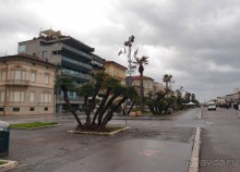 Виареджо. Рождение Бурламако