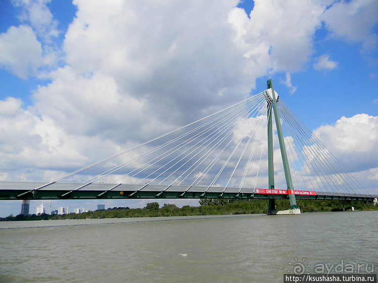 Вена и Дунай