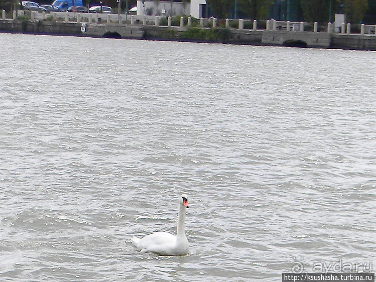 Вена и Дунай