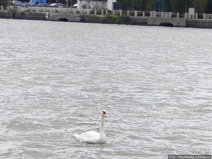 Вена и Дунай