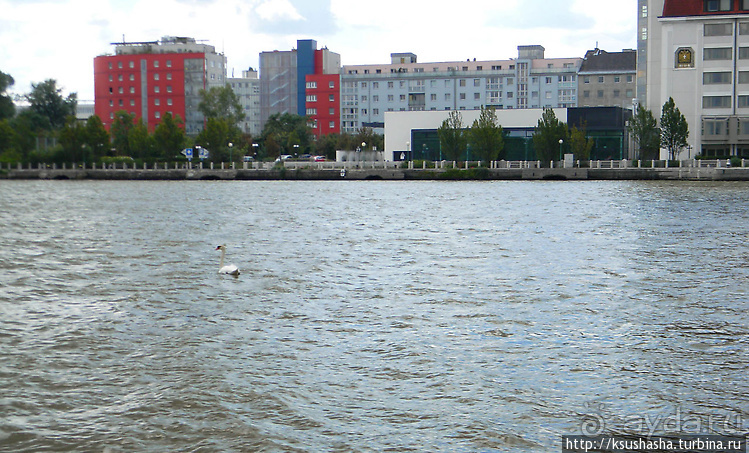 Вена и Дунай