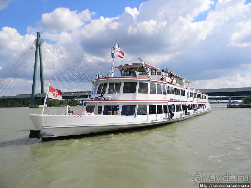 Вена и Дунай