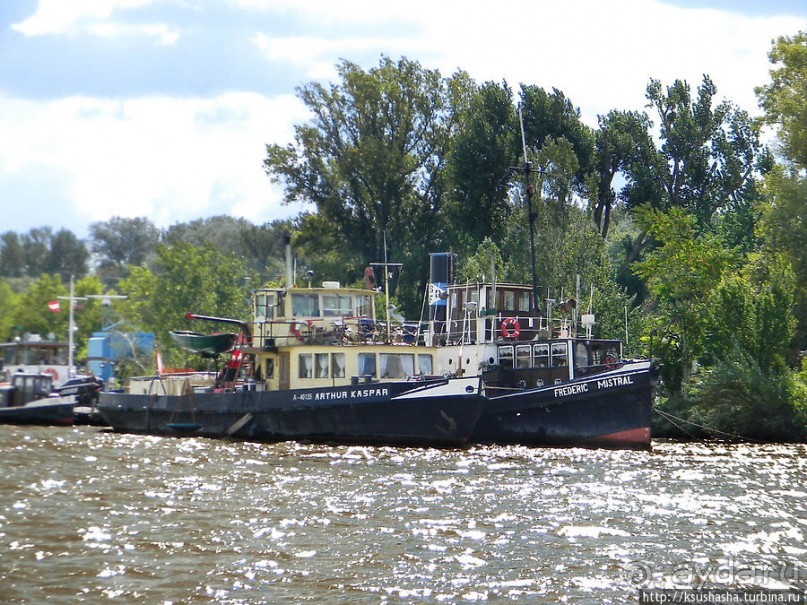 Вена и Дунай