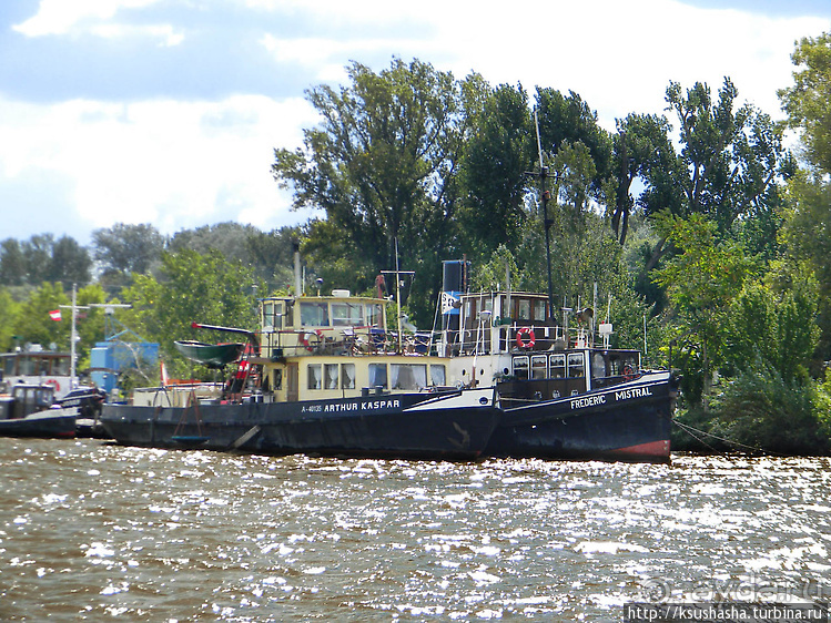 Вена и Дунай