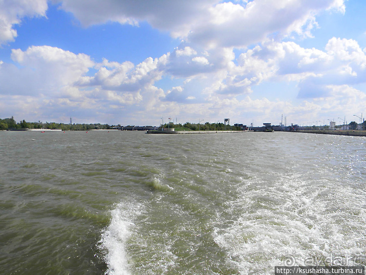 Вена и Дунай