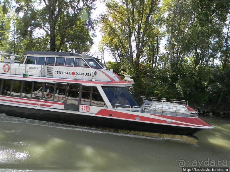 Вена и Дунай
