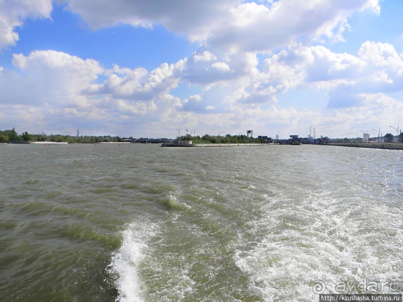 Вена и Дунай