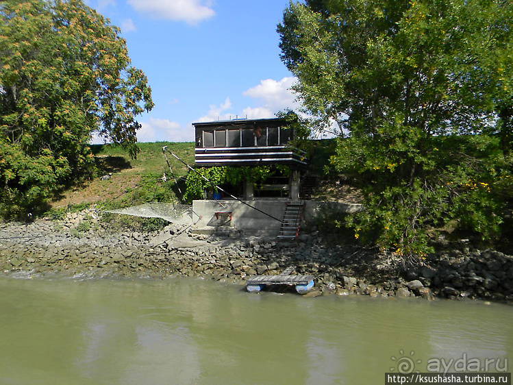Вена и Дунай