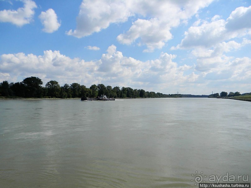 Вена и Дунай