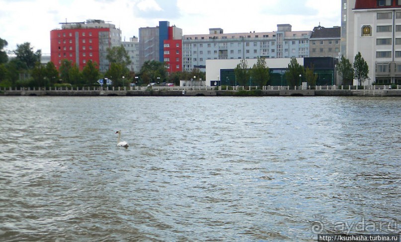 Вена и Дунай