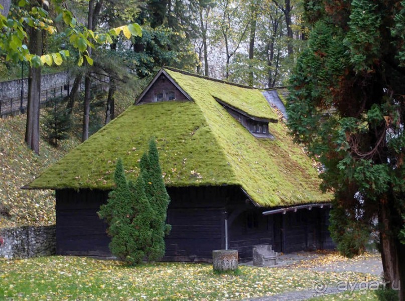 О вампирах — с юмором, о величествах — шепотом