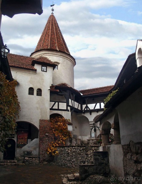 О вампирах — с юмором, о величествах — шепотом