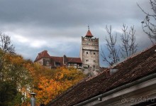 О вампирах — с юмором, о величествах — шепотом