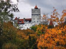 О вампирах — с юмором, о величествах — шепотом